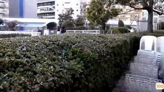 日本Av亚洲Av欧洲Av➕国产av网址污